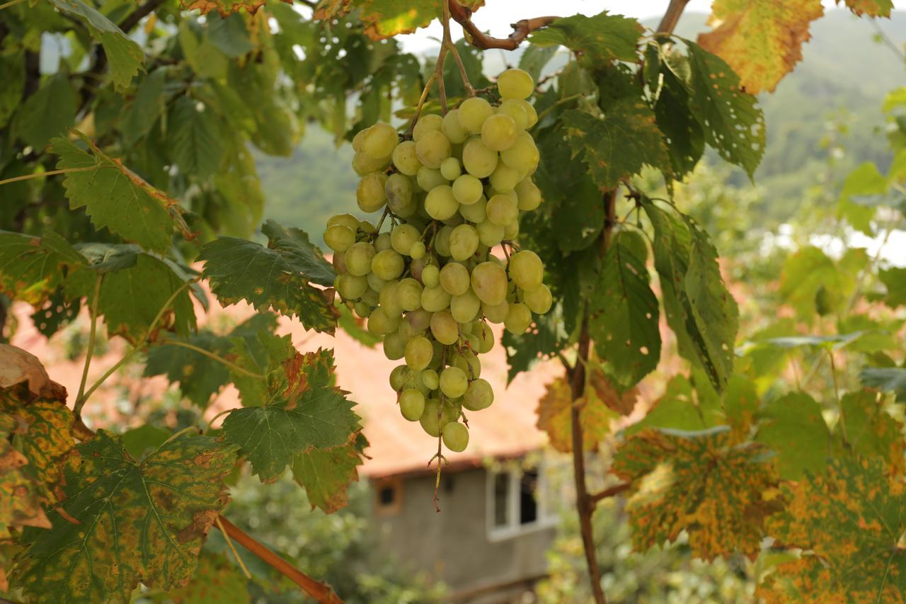 Guest House Pirosmani 60 Sighnaghi Εξωτερικό φωτογραφία