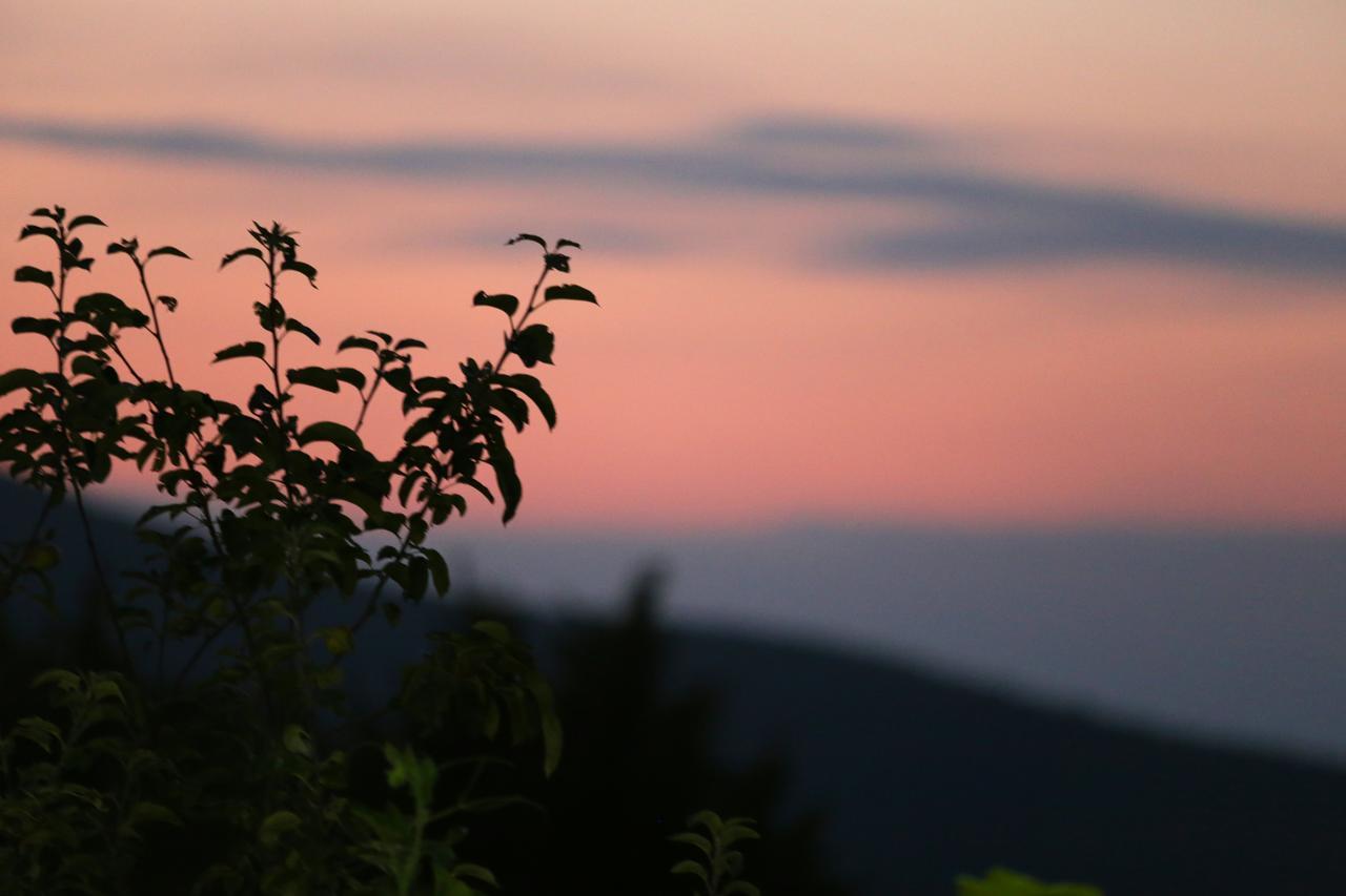 Guest House Pirosmani 60 Sighnaghi Εξωτερικό φωτογραφία